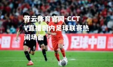 开云体育官网-CCTV直播国内足球联赛热闹场面